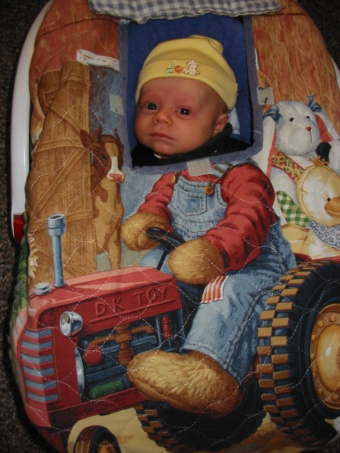 car seat cover